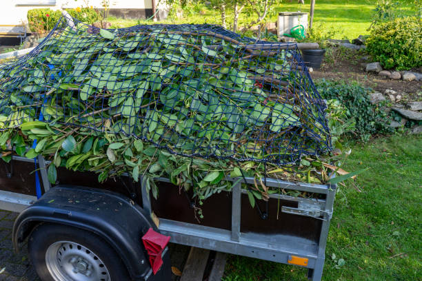 Best Scrap Metal Removal  in Wheaton, MD